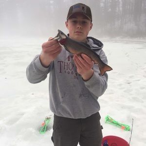 Meet your Posher, Stephen